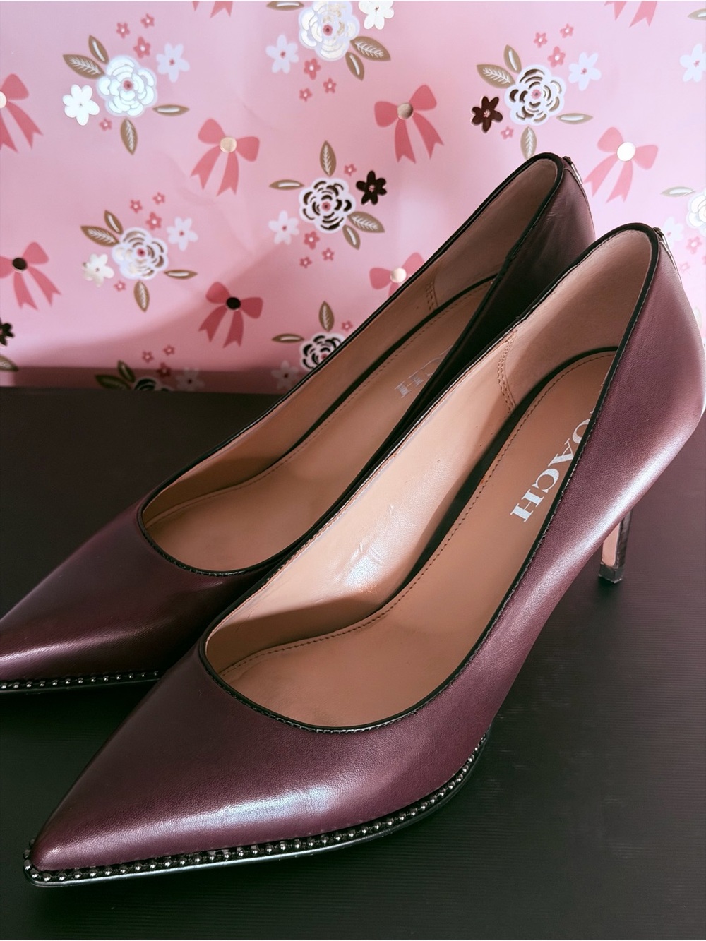 COACH Women's Burgundy Leather Pointed-Toe Pumps